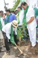 Adopt A Tree Challenge from Rajendra Prasad at Film Chamber, Hyderabad