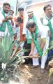 Adopt A Tree Challenge from Rajendra Prasad Photos