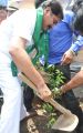 Adopt A Tree Challenge from Rajendra Prasad at Film Chamber, Hyderabad