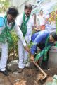 Adopt A Tree Challenge from Rajendra Prasad at Film Chamber, Hyderabad