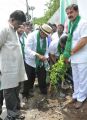 Adopt A Tree Challenge from Rajendra Prasad at Film Chamber, Hyderabad