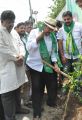 Adopt A Tree Challenge from Rajendra Prasad at Film Chamber, Hyderabad