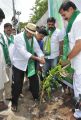 Adopt A Tree Challenge from Rajendra Prasad Photos