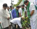 Adopt A Tree Challenge from Rajendra Prasad at Film Chamber, Hyderabad