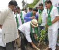 Adopt A Tree Challenge from Rajendra Prasad Photos