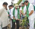 Adopt A Tree Challenge from Rajendra Prasad Photos