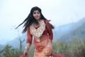 Actress Naina Sarwar in Adra Machan Visilu Latest Stills