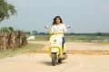 Actress Naina Sarwar in Shiva, Naina Sarwar in Adra Machan Visilu Movie Stills