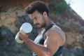 Actor Jayaram in Aggi Ravva Telugu Movie Stills