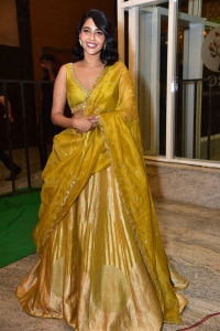 King of Kotha Actress Aishwarya Lekshmi Pictures