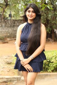 Actress Aishwarya Ullas Pictures @ Dear Krishna Press Meet