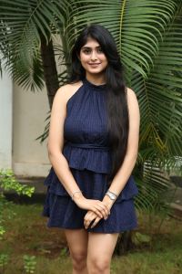 Actress Aishwarya Ullas Pictures @ Dear Krishna Press Meet