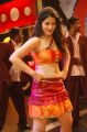 Telugu Actress Ajju Hot Stills