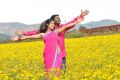 AK Rao PK Rao Movie Photos