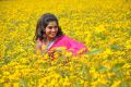 Actress Sri Bhoomika At AK Rao PK Rao Movie Photos