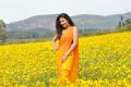 Actress Daksha Nagarkar At AK Rao PK Rao Movie Photos