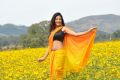 Actress Daksha Nagarkar At AK Rao PK Rao Movie Photos