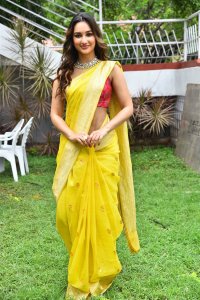 Laila Movie Heroine Akanksha Sharma Saree Pics