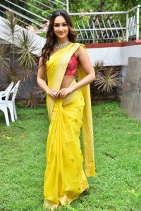 Actress Akanksha Sharma Saree Pics @ Laila Movie Launch