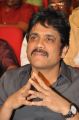 Nagarjuna @ Akhil Akkineni VV Vinayak Movie Opening Stills