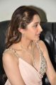 Actress Sayesha Saigal @ Akhil Akkineni VV Vinayak Movie Opening Stills