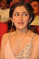 Actress Sayesha Saigal @ Akhil Akkineni VV Vinayak Movie Opening Stills