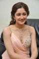 Actress Sayesha Saigal @ Akhil Akkineni VV Vinayak Movie Opening Stills