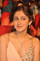 Actress Sayesha Saigal @ Akhil Akkineni VV Vinayak Movie Opening Stills