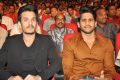 Akhil Akkineni VV Vinayak Movie Opening Stills