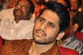 Akhil Akkineni VV Vinayak Movie Opening Stills