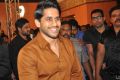 Akhil Akkineni VV Vinayak Movie Opening Stills