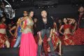 Akhil Movie Audio Launch Stills