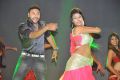 Akhil Movie Audio Launch Stills