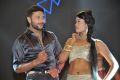 Akhil Movie Audio Launch Stills