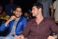 Akhil Audio Release Function Photos