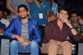 Akhil Audio Release Function Photos