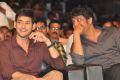 Akhil Audio Release Function Photos