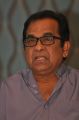 Brahmanandam @ Akhil Movie Success Meet Stills