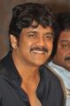 Akkineni Nagarjuna @ Akhil Movie Success Meet Stills