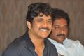 Nagarjuna @ Akhil Movie Success Meet Stills