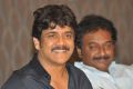 Nagarjuna @ Akhil Movie Success Meet Stills