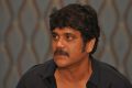 Nagarjuna @ Akhil Movie Success Meet Stills