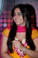 Actress Aksha Latest Hot Photos in Tight Dress