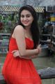 Shatruvu Movie Actress Aksha Hot Stills in Red Dress