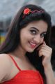Aksha Pardasany Stills in Red Dress from Shatruvu Movie