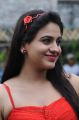 Actress Aksha Pardasany Stills in Red Dress from Shatruvu