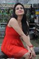 Telugu Actress Aksha Hot Stills in Red Dress from Shatruvu Movie