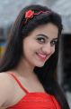 Telugu Actress Aksha Latest Stills in Red Dress from Shatruvu Movie