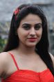 Actress Aksha Pardasany Stills in Red Dress from Shatruvu