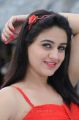 Actress Aksha Hot Stills in Red Dress from Shatruvu